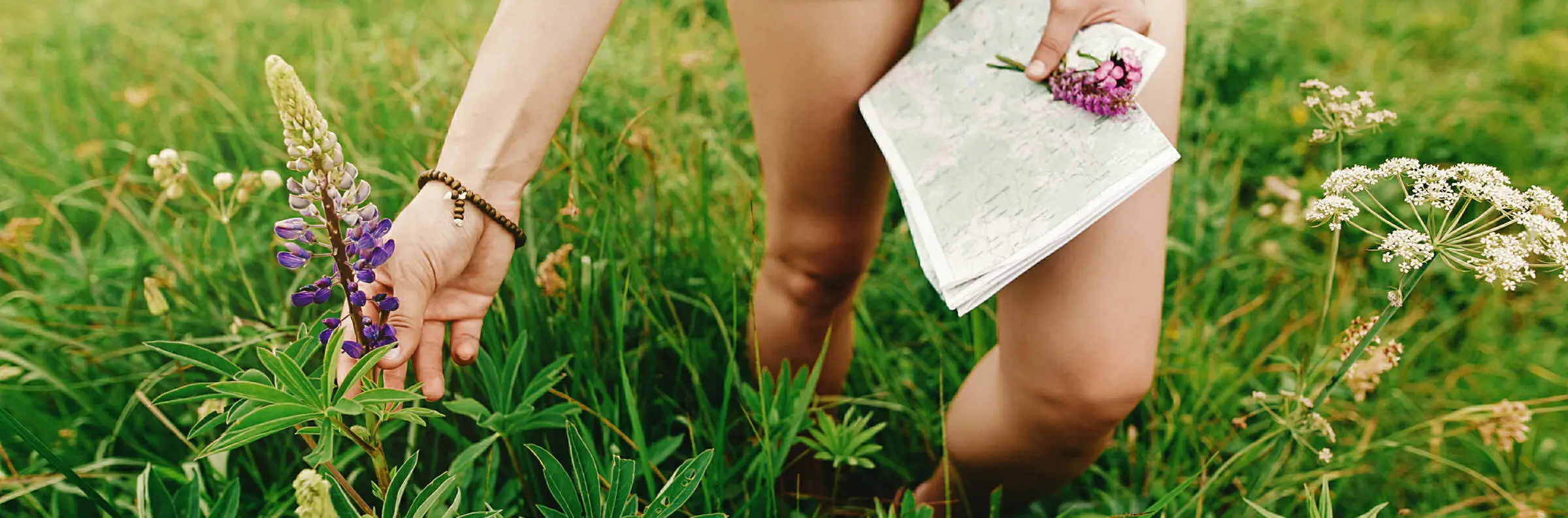 Kräuterwanderung in Eschborn - Ladies' Business Club Eine Frau pflückt eine Blume und hält eine Karte fest.